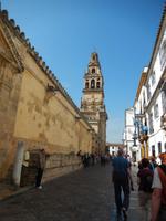 Cordoba - 10 Tage Radreise Andalusien entlang der Via Verde - Natur und Kultur in Spanien