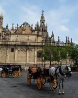 Sevilla - 10 Tage Radreise Andalusien entlang der Via Verde - Natur und Kultur in Spanien