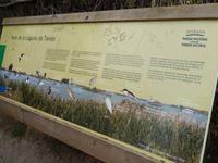 Donana Nationalpark - 10 Tage Radreise Andalusien entlang der Via Verde - Natur und Kultur in Spanien