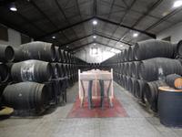 Sanlucar de Barrameda - Kellerei Besuch - 10 Tage Radreise Andalusien entlang der Via Verde - Natur und Kultur in Spanien