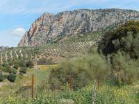 Olvera - Via Verde de la Sierra - 10 Tage Radreise Andalusien entlang der Via Verde - Natur und Kultur in Spanien