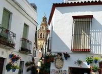 10 Tage Radreise Andalusien entlang der Via Verde - Natur und Kultur in Spanien