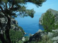 ein letzter Blick auf die Bucht von Sa Calobra