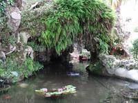 in den Arabischen Gärten von Alfabia