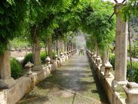 in den Arabischen Gärten von Alfabia