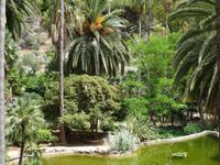 in den Arabischen Gärten von Alfabia