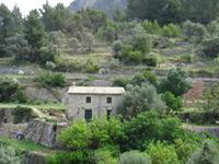 terrassenförmiger Anbau 