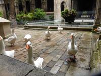 034-Barcelona-Kathedrale