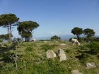 133-Sant_Pere_de_Rodes