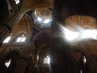 Salamanca - Rundreise – Madrid intensiv erleben!