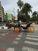 Malaga innerstädtischer Transport