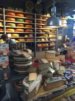 Rotterdam Verführung