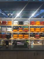 Rotterdam Verführung