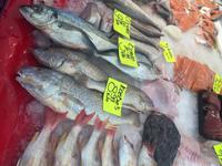 Rotterdam Markthalle