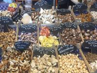 Rotterdam Markthalle