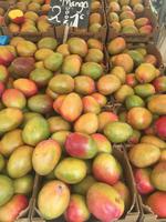 Rotterdam Markthalle