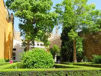 Alcázar