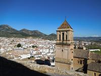 Alcaudete (1)