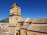 Alcaudete (15)