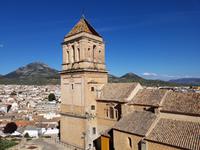 Alcaudete (20)