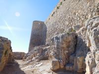Alcaudete (3)