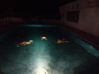 Alcaudete (3)