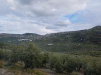 Alcaudete