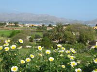 Alcudia Blick von der Stadtmauer