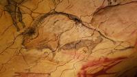 Altamira Steinzeithöhle (6)