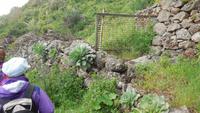 Altes Bettgestell als Gartentor