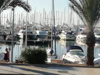 Am Hafen von Palma