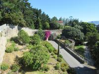 Baiona (8)