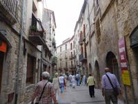 Besalu (6)