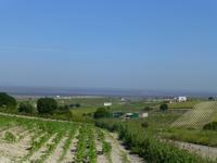 Blick auf Coto Donana von Trebujena