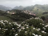 Blick auf Taganana