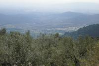 Blick in die Ebene
