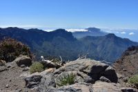 Blick nach Süden