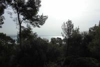 Blick vom Schloss Bellver