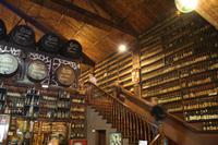 Bodega 