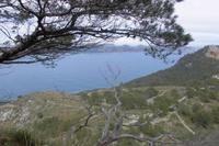 Bucht von Pollenca