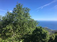 Bucht von Roses