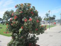 Buntes Mallorca