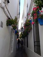 Córdoba (42)