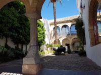 Córdoba (55)