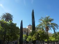 Córdoba