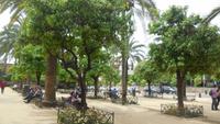 Córdoba