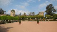 Córdoba