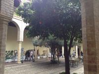 Córdoba