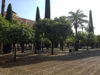 Córdoba