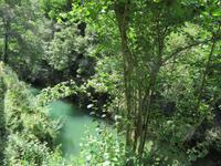 Cabrales (13)
